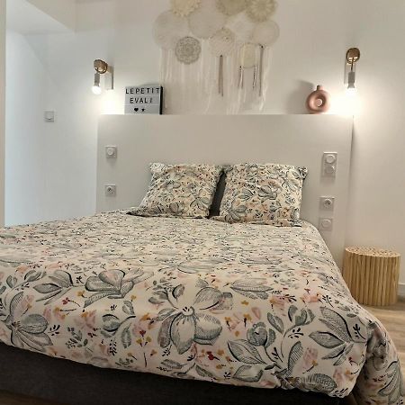 Le Petit Evali - Wifi - Centre Apartment Алби Екстериор снимка