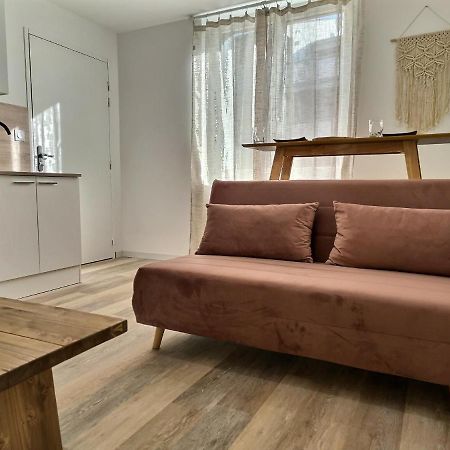 Le Petit Evali - Wifi - Centre Apartment Алби Екстериор снимка