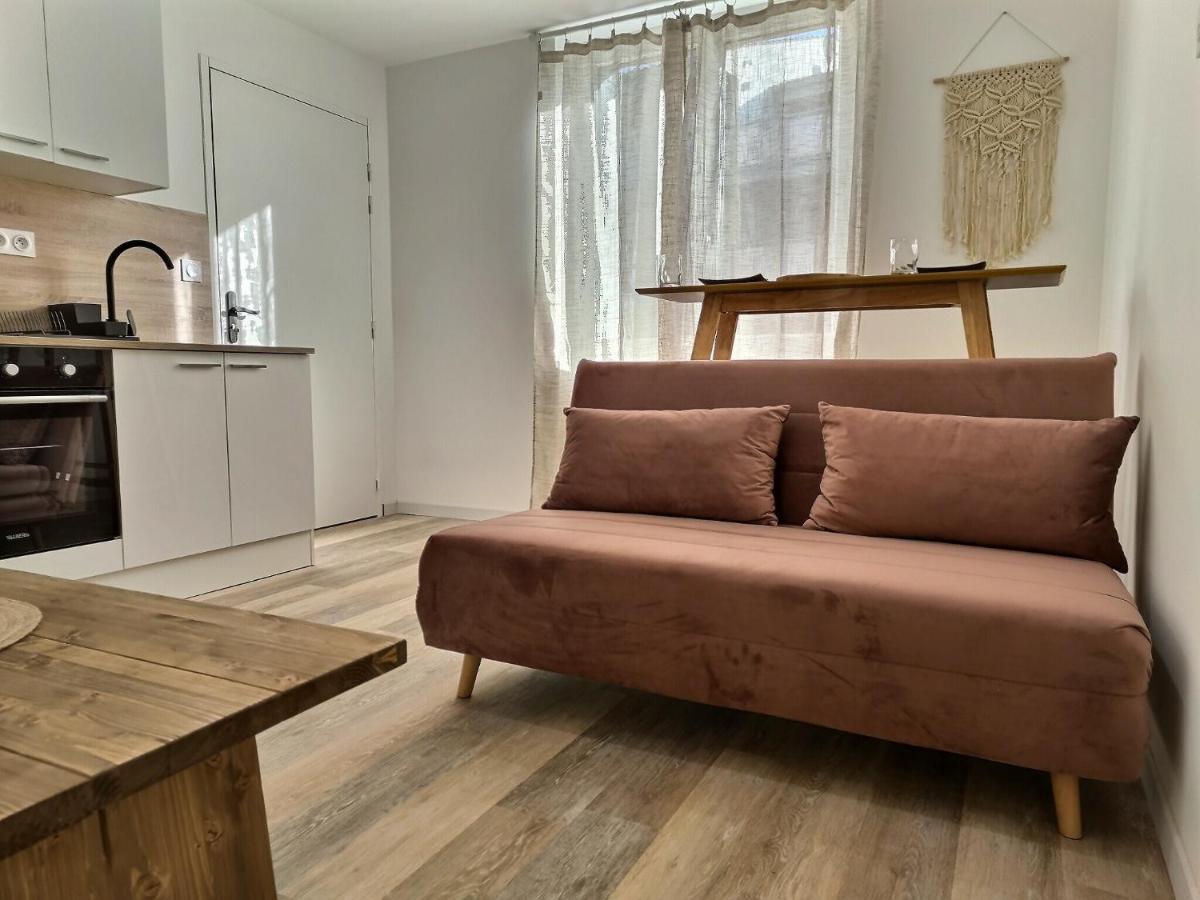 Le Petit Evali - Wifi - Centre Apartment Алби Екстериор снимка